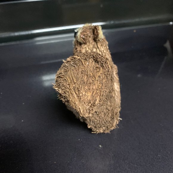 Fall Bottle Brush Squirrel - Picture 3 of 5